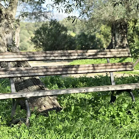 Apartment Naramanue 2 Dorgali